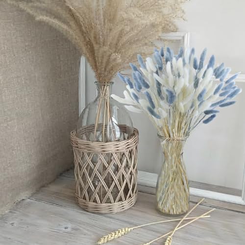 120pcs Dried Bunny Tails Flowers, 17-Inch Natural Lagurus Ovatus Stems