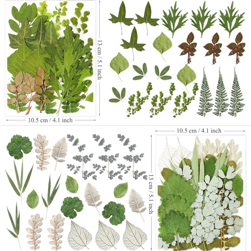 84 Pcs Natural Pressed Dried Leaves & Flowers for Resin Crafts & DIY
