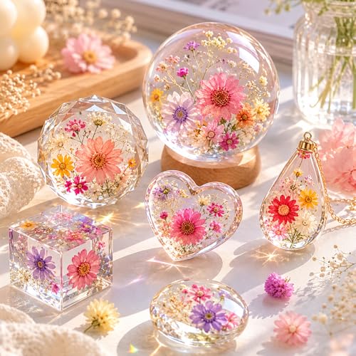 520 Pcs Mini Dried Flowers for Resin Crafts, Jewelry & Soap Making
