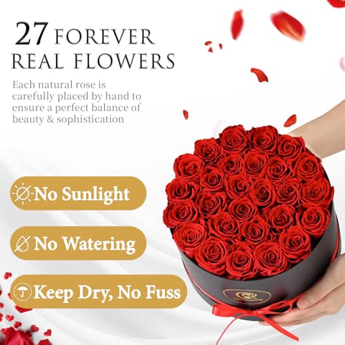 27 Preserved Roses in a Box - Long-Lasting Everlasting Flower Gift