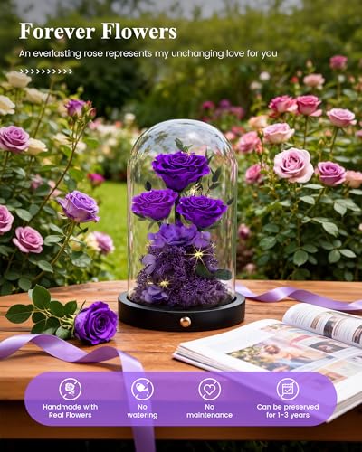 Forever Preserved Purple Rose in Glass Dome - Long-Lasting Floral Gift