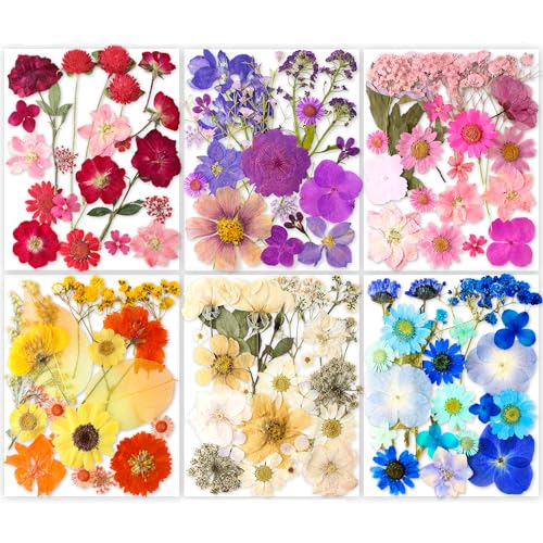 221 Pcs Natural Dried Pressed Flowers & Butterfly Stickers for Resin Crafts