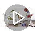 12-Piece Clear Glass Bud Vase Set - Vintage Mini Flower Vases for Centerpieces