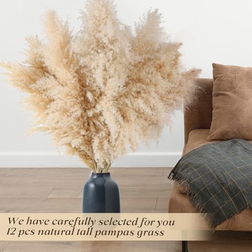 12pcs 40-Inch Dried Pampas Grass Bouquet - Natural Beige Boho Home Decor
