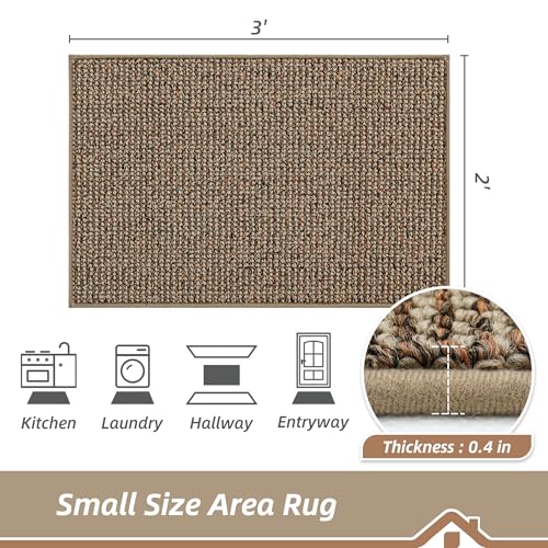 2x3 Indoor Entryway Rug, Non-Slip Washable Door Mat for Hallway & Laundry Room