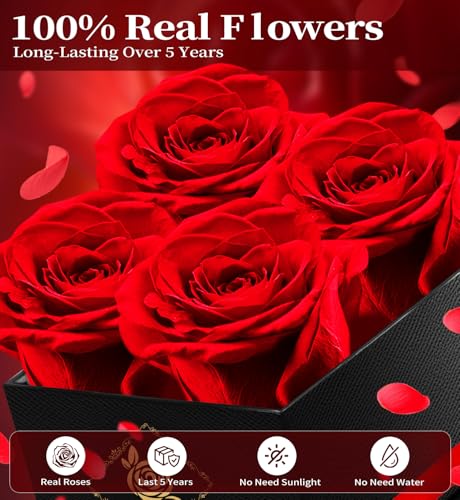 Preserved Real Red Roses in Gift Box - Long-Lasting Forever Flower Bouquet