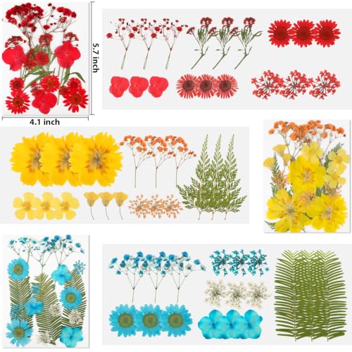 103 Pcs Real Dried Pressed Flowers Set for Resin Molds, Candles & Crafts