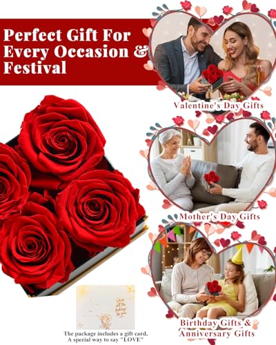 Preserved Real Roses in Gift Box, Long-Lasting Eternal Flowers for Her