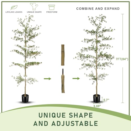 7ft Black Olive Tree | Realistic Faux Shady Lady Decor for Home