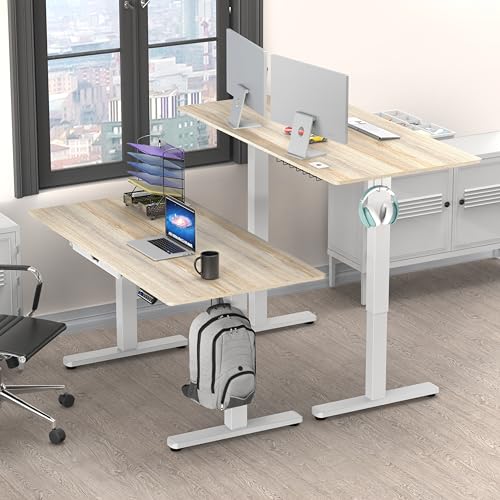 55 x 28 Electric Standing Desk with Drawer, Memory Presets & Cable Management