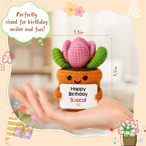 Crochet Succulent Potted Plant with Birthday Message Card