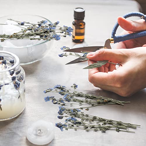 50 Pcs Natural Blue Forget Me Not Pressed Dried Flowers for Resin DIY Crafts