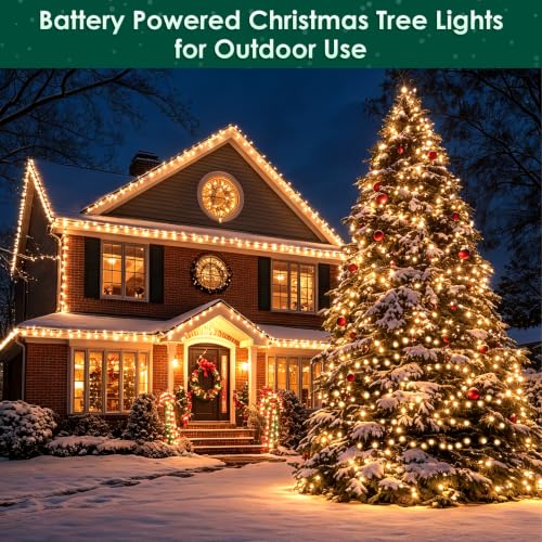 FairyGlim 2-Pack 20ft Battery Christmas String Lights 60 LEDs Warm White