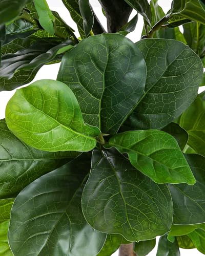 6ft Tall Fiddle Leaf Fig Tree - Lifelike Artificial Plant for Home & Office Decor