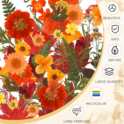 Real Dried Pressed Flowers & Leaves for DIY Resin Crafts - 100 Pcs Set