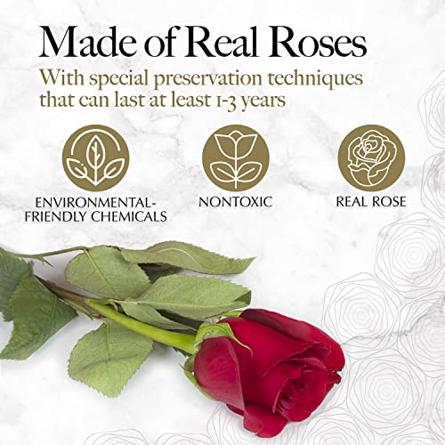 Preserved Red Roses in Heart Gift Box - Real Forever Flower Gift Set
