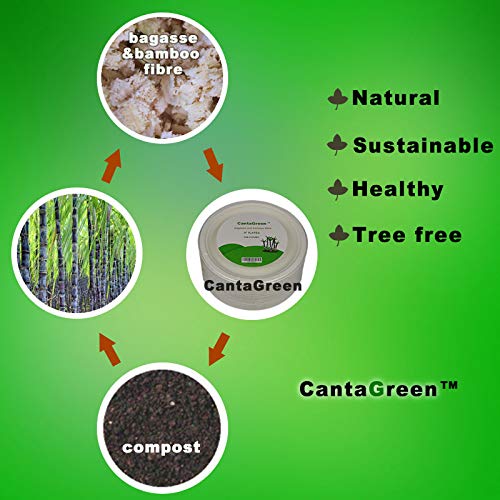 CantaGreen 9 inch Compostable Plates, 100 Count Heavyduty Sugarcane/Bagasse and Bamboo Fibre Biodegradable Disposable Paper Plate