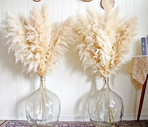 40-Inch Tall Pampas Grass Stems, Set of 10 Dried Floral Decor for Floor Vases