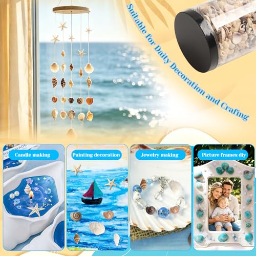 1200 Pcs Small Natural Sea Shells & Starfish for DIY Crafts & Vase Filler