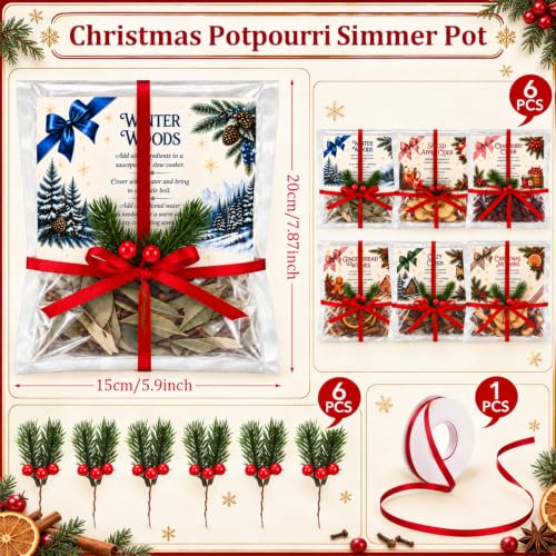 Loopeer 6 Pack Christmas Simmer Pot Potpourri Kit - Holiday Gift Set with Labels & Decorations