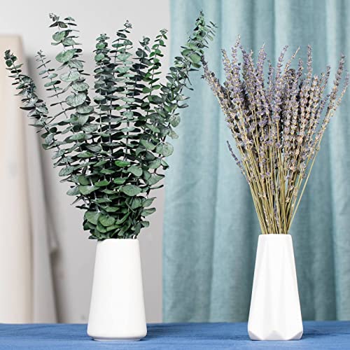 Dried Eucalyptus Stems & Lavender Flower Bundles for Shower, 17 Inch (2 Pack)