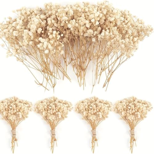 120 Pcs Mini Dried Baby's Breath Flowers, Ivory Gypsophila for DIY Crafts