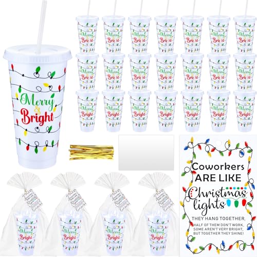 Willinglong Christmas Light Bulb Themed 24 oz Reusable Tumblers with Lids & Straws – Bulk Gift Set for Staff and Coworkers
