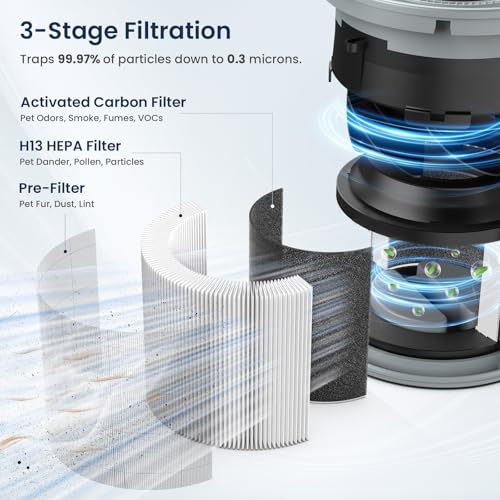 H13 True HEPA Air Purifier for Large Rooms with Fragrance and Sleep Mode