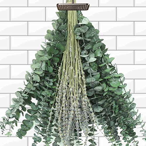 Dried Eucalyptus Stems & Lavender Flower Bundles for Shower, 17 Inch (2 Pack)