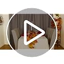 4-Pack Fall Leaf Garland with LED String Lights - Artificial Maple Leaves
