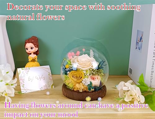 Preserved Champagne-Yellow Rose Arrangement with LED Lights & Gift Box