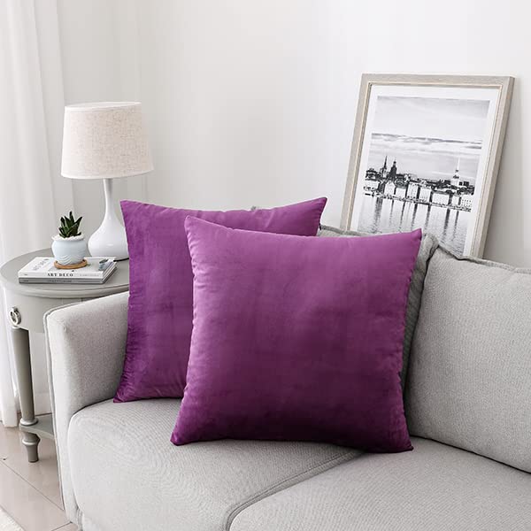 NiNi ALL Purple Velvet Throw Pillow Covers 22x22in (Pack of 2) Decorative Cushions
