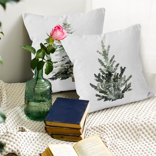 Liosei 18x18 Inch Christmas Decorative Throw Pillow Covers Set of 4