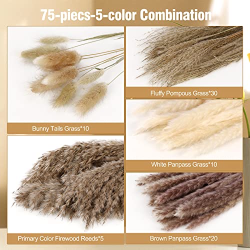 75 Pcs Natural Dried Pampas Grass Decor - Fluffy Boho Bouquet for Vases