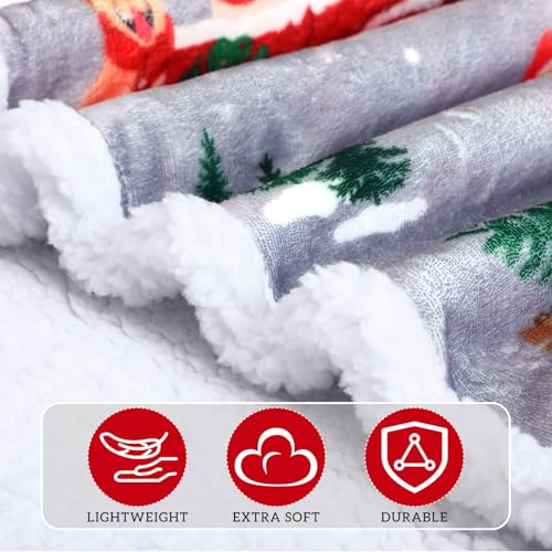 FuWeave Christmas Sherpa Throw Blanket 50 x 60 Inch with Red Truck Pattern