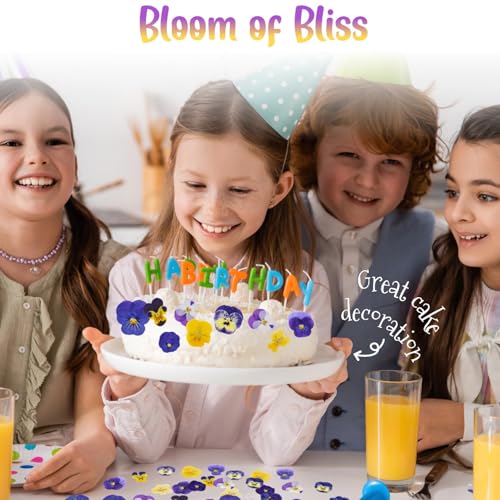 Natural Dried Pressed Edible Flowers for Cake Toppers & DIY Crafts, 40 Pcs