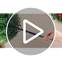Rivvlive 6-Pack 16-Inch Outdoor Cedar Topiary Trees – Artificial Pathway Planters