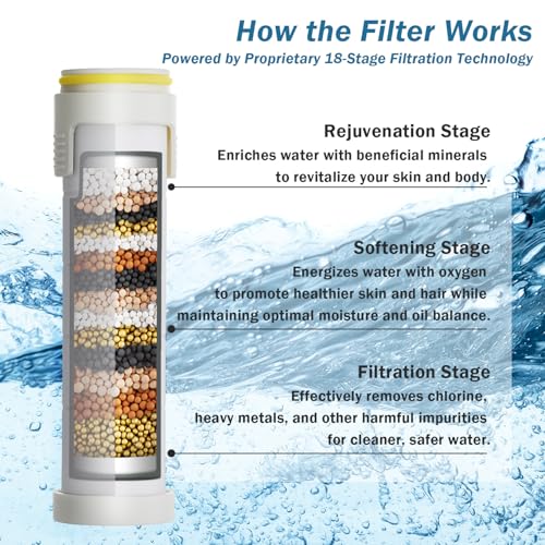 Filtered Handheld Shower Head with 4 Spray Modes and 79-Inch Hose