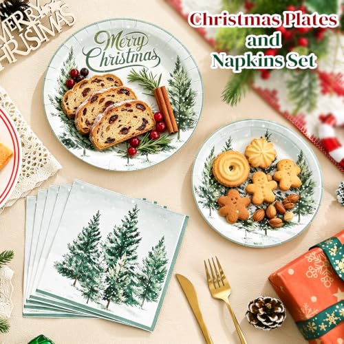 Christmas Disposable Paper Plates & Napkins Set - Heavy Duty Holiday Partyware