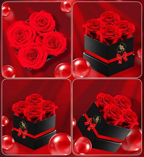 Preserved Real Red Roses in Gift Box - Long-Lasting Forever Flower Bouquet