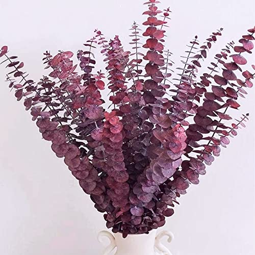 16 Pcs Preserved Red Eucalyptus Stems 17-Inch Real Dried Floral Branches