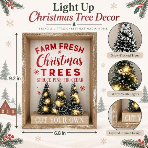Eternhome Christmas Lighted Tabletop Decor with 6H On/18H Off Timer