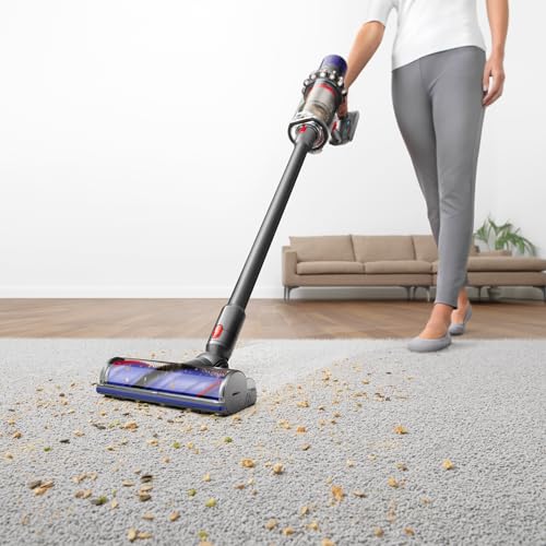 Dyson Cyclone V10 Origin Cordless Vacuum Cleaner for Pets