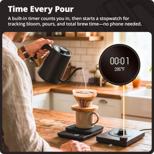 Greater Goods Onyx Black 0.8L Electric Gooseneck Kettle 1200W Temperature Control