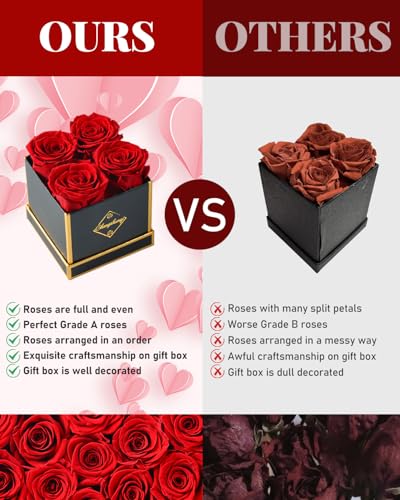 Preserved Real Roses in Gift Box, Long-Lasting Eternal Flowers for Her