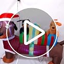 Christmas Inflatable Dachshund Dog with Hat - 4FT Holiday Yard Decor - Variation of Christmas Dachshund