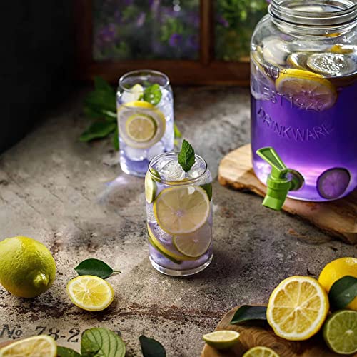 Le'raze Set of 10 Can-Shaped 16oz Drinking Glasses - Durable Irish Glass for Cocktails & More