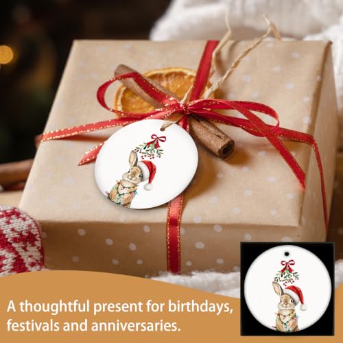 MIBEZE Santa Bunny Christmas Ceramic Ornament Gift - Variation 71