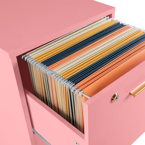 2-Drawer Rolling File Cabinet with Lock, Pink Wooden Under Desk Organizer