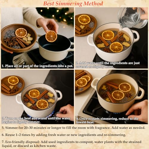 Stovetop Simmer Pot Potpourri Kit with Dried Citrus and Apple Slices